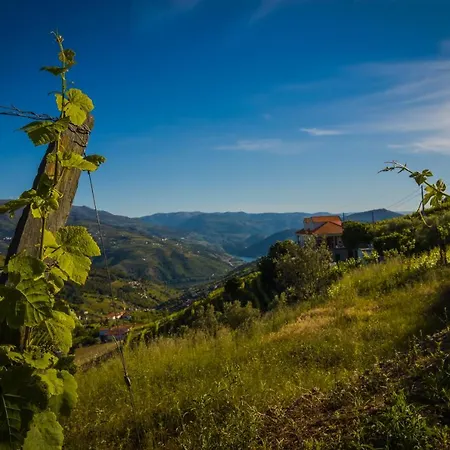 Recanto Do Martir - Douro * Mesão Frio