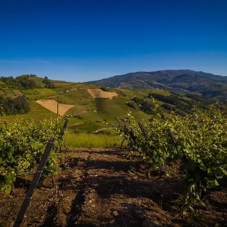 Recanto Do Martir - Douro Nyaraló Mesão Frio